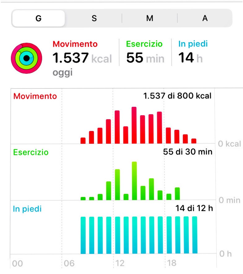 Daily activity report from a smart watch